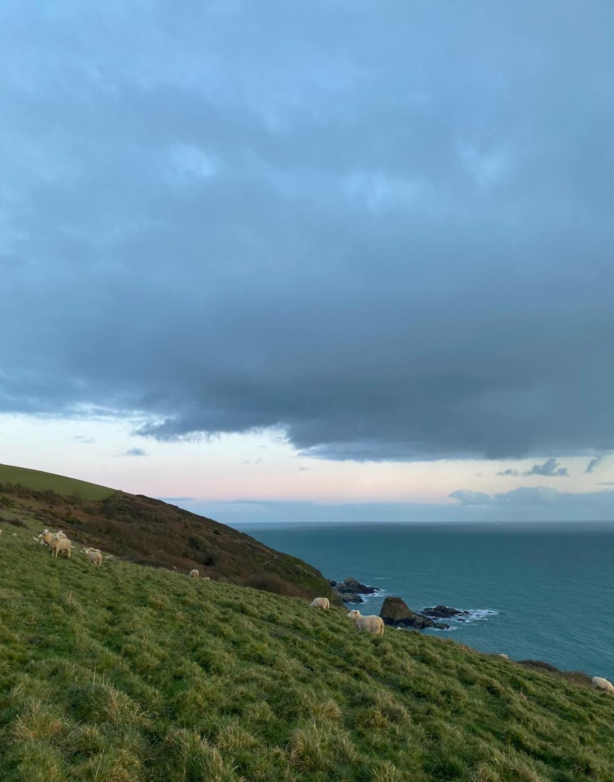 Piran, Little Tregue Διαμέρισμα Polperro Εξωτερικό φωτογραφία